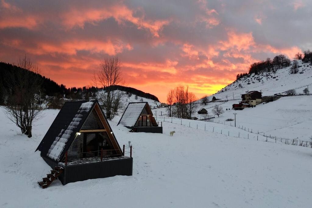 Roia Chalet Fundata 2ヴィラ エクステリア 写真